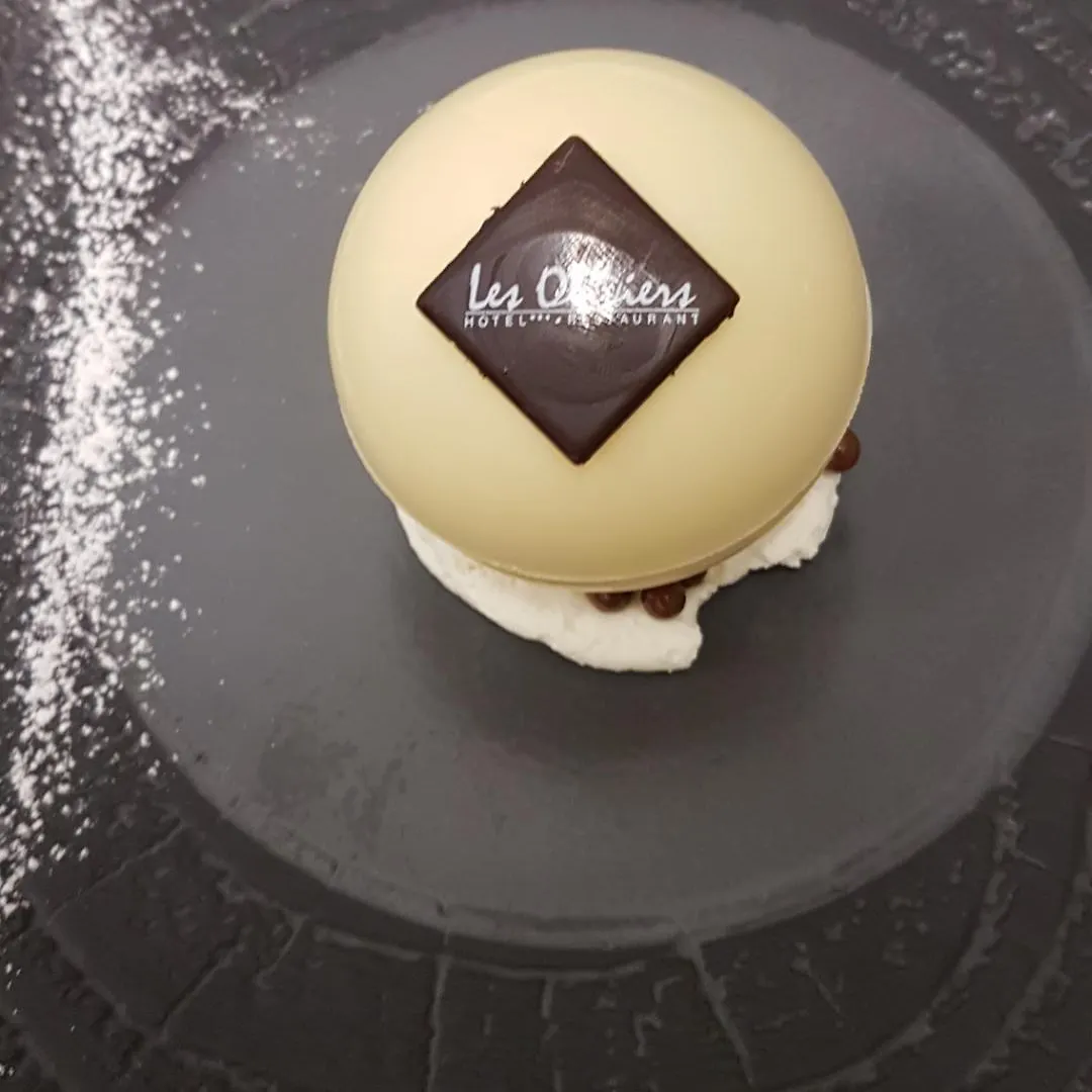 Logis Hotel Restaurant Spa Les Oliviers Loriol-sur-Drome