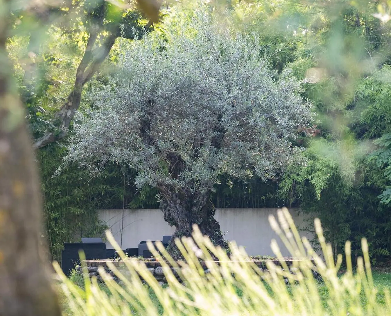 Logis Hotel Restaurant Spa Les Oliviers Loriol-sur-Drome